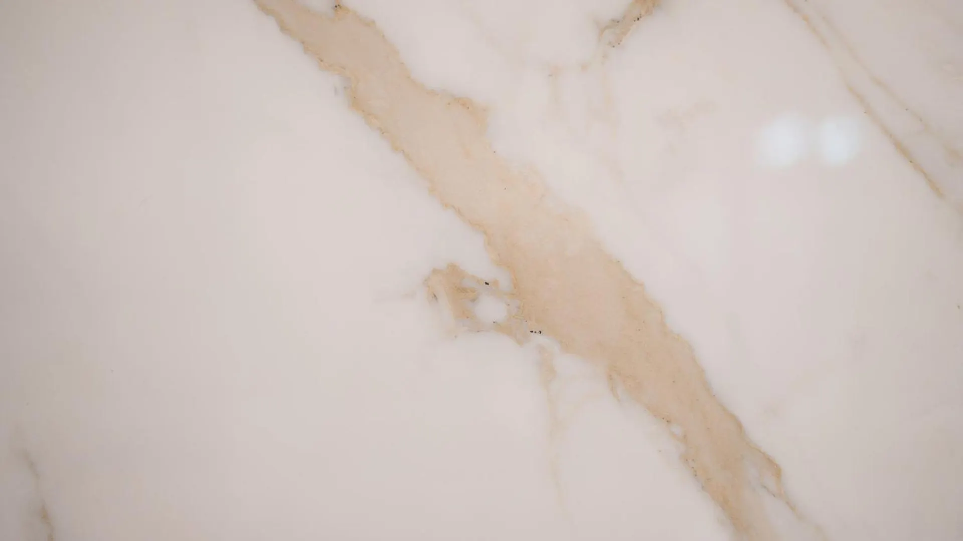 Appartamento In Centro Vista Parco - Biancospino Apartments Milano